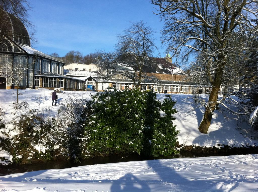 Solomons Peak Apartment Buxton  Eksteriør billede